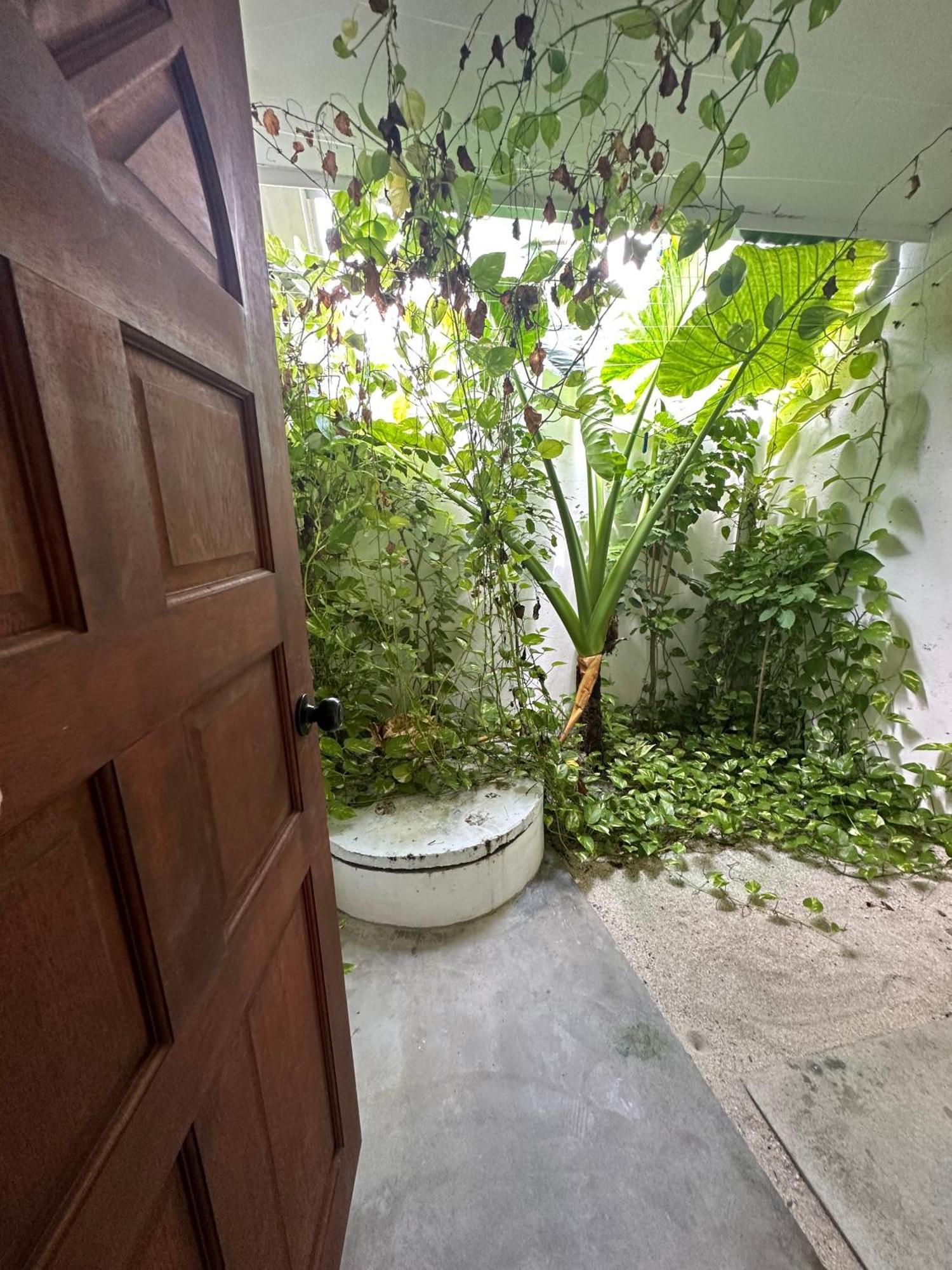 Aqua Oasis Hotel Thoddoo Ngoại thất bức ảnh